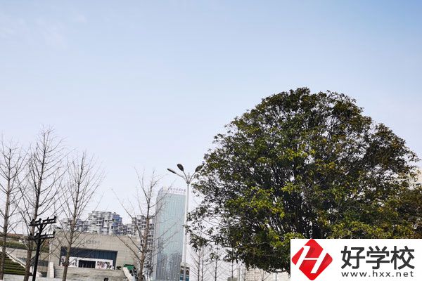益陽科技工程學(xué)校有哪些專業(yè)？就業(yè)如何？