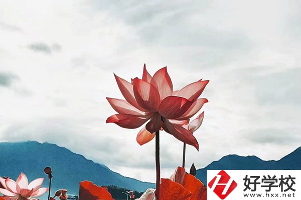 隆回華星職業(yè)技術(shù)學(xué)校有哪些專業(yè)？值得學(xué)生報考么？
