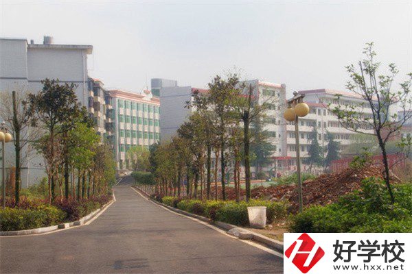 益陽有哪些高級技校？學校有什么亮點？