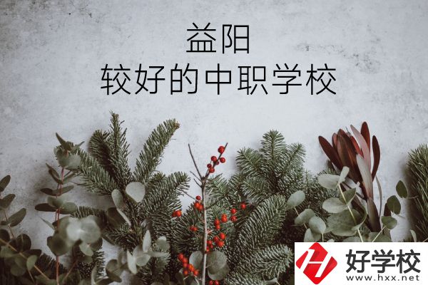 益陽有哪些中職學(xué)校比較好？