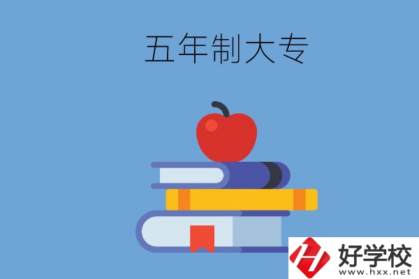 長沙開設教育類專業(yè)的五年制大專有哪些？