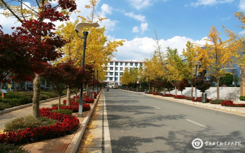 2024年煙臺工程職業(yè)技術(shù)學院有哪些專業(yè)