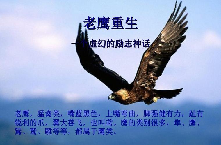 北京財務會計學校怎么樣
