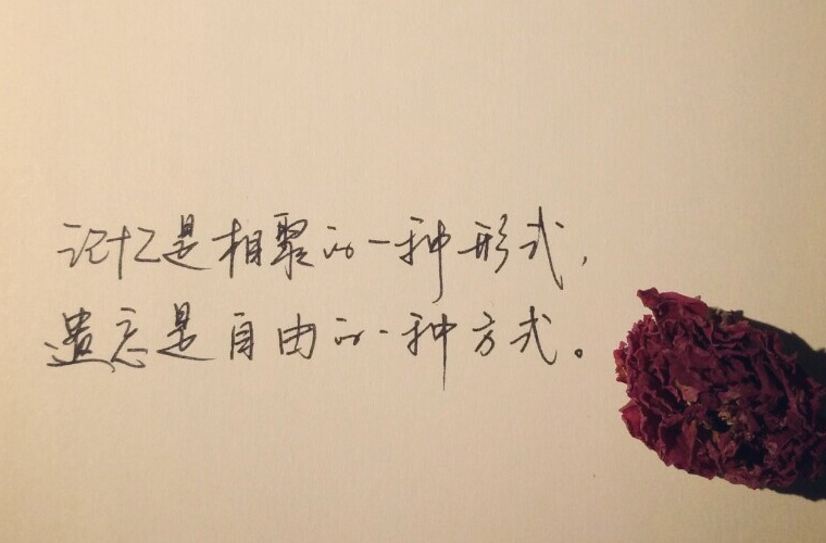 2025莆田衛(wèi)生學(xué)校開設(shè)的專業(yè)一覽表