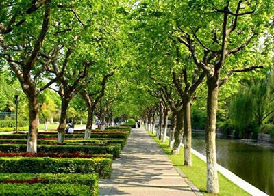 西安市機(jī)電職業(yè)技術(shù)學(xué)校2025年報名條件是什么