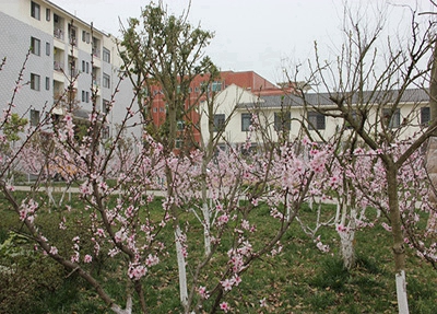 陽(yáng)泉文化藝術(shù)學(xué)校2025年報(bào)名條件是什么