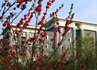 長(zhǎng)治文化藝術(shù)學(xué)校2025年報(bào)名條件是什么