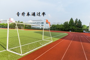 專升本通過(guò)率
