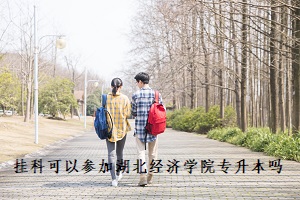 掛科可以參加湖北經(jīng)濟學院專升本嗎