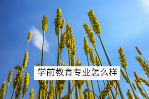 學期教育專業(yè)怎么樣