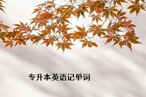 專升本英語(yǔ)記單詞
