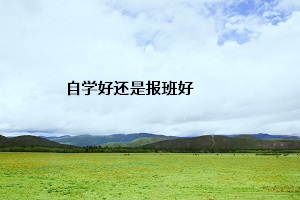 自學好還是報班好