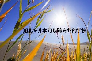 湖北專升本可以跨專業(yè)的學(xué)校