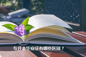 專升本畢業(yè)證有哪些區(qū)別？