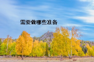 需要做哪些準備
