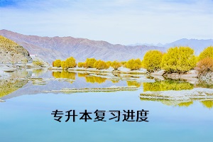 專升本復習進度
