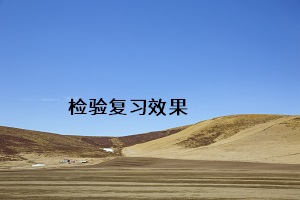 檢驗(yàn)復(fù)習(xí)效果