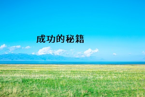 成功的秘籍