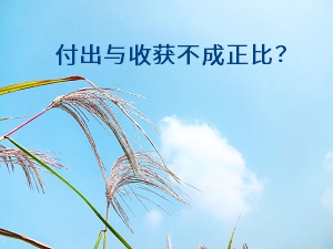 付出與收獲不成正比？