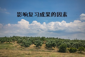 影響復(fù)習(xí)成果的因素