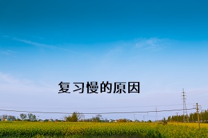 復(fù)習(xí)慢的原因