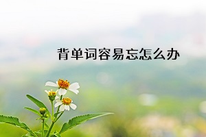 背單詞容易忘怎么辦