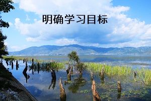 明確學(xué)習(xí)目標