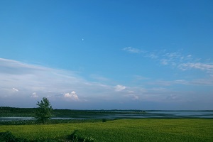堅持運動