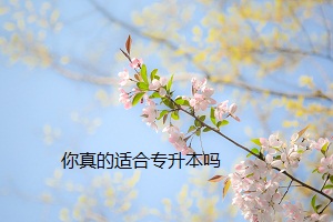 你真的適合專升本嗎
