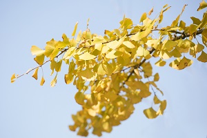 沒(méi)有目標(biāo)的學(xué)生