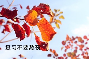 復(fù)習(xí)不要熬夜