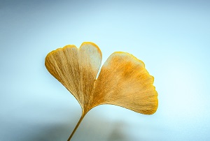復(fù)習管理