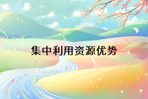 集中利用資源優(yōu)勢(shì)