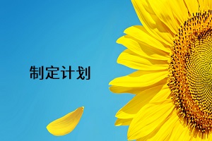 制定計(jì)劃