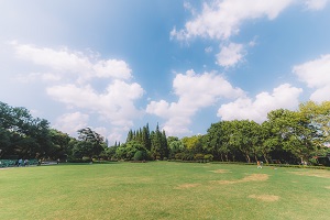 缺乏獨(dú)立思考