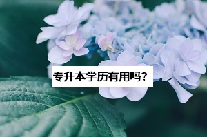 為什么那么多學(xué)長(zhǎng)學(xué)姐勸你去考普通專升本？這些問(wèn)題要想清楚