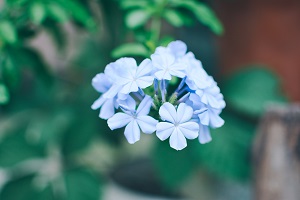 擴招后報考人數(shù)是否會激增？