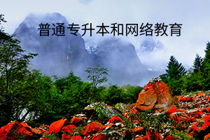 普通專升本和網(wǎng)絡(luò)教育