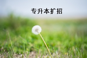 專升本擴(kuò)招