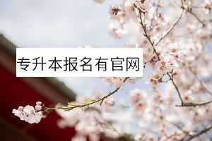專升本報名有官網(wǎng)