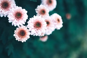 非全日制專升本的第一學歷是本科嗎？