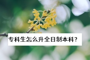?？粕趺瓷罩票究?？已經(jīng)畢業(yè)了，還能報(bào)考普通專升本考試嗎？