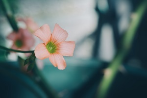 哪類考生專升本報班更有效果？
