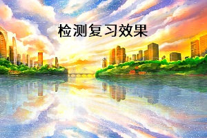 檢測復(fù)習(xí)效果