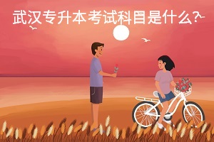 武漢專升本考試科目是什么