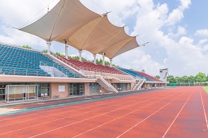 如何選擇報(bào)考院校？