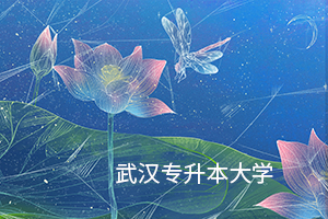 武漢專升本大學