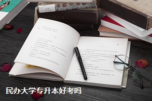 民辦大學(xué)專(zhuān)升本好考嗎