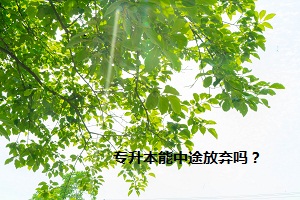 專升本能中途放棄嗎？