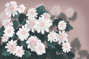 能否報(bào)考？